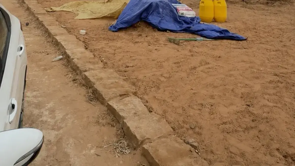 أسقف جريد النخل في تبوك