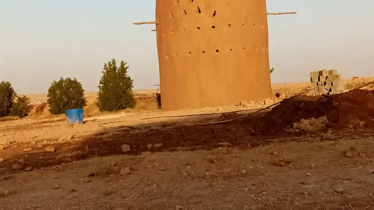 أسقف جريد النخل في حائل
